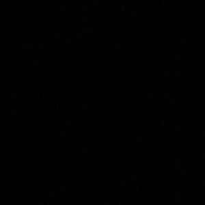 Meet your Posher, Salome